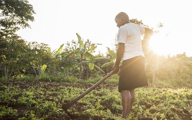 Young Ugandan Wins Entrepreneurship Award For Her Organic Fertilizer